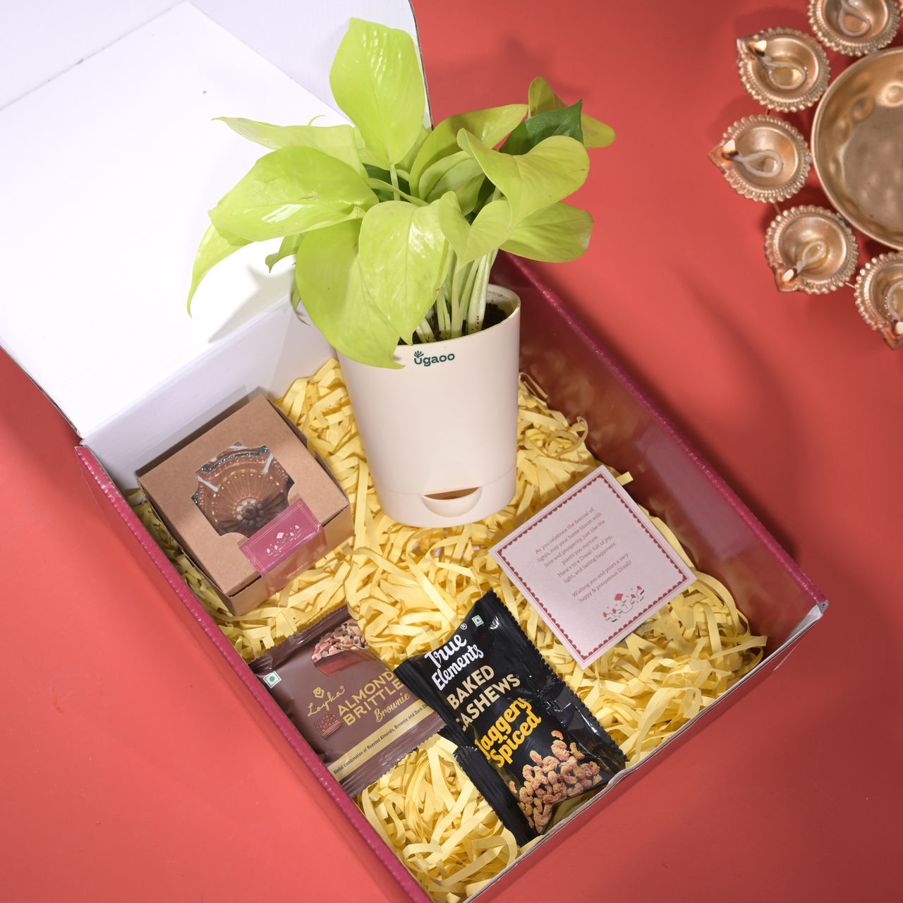 Ugaoo Diwali Gift Hamper