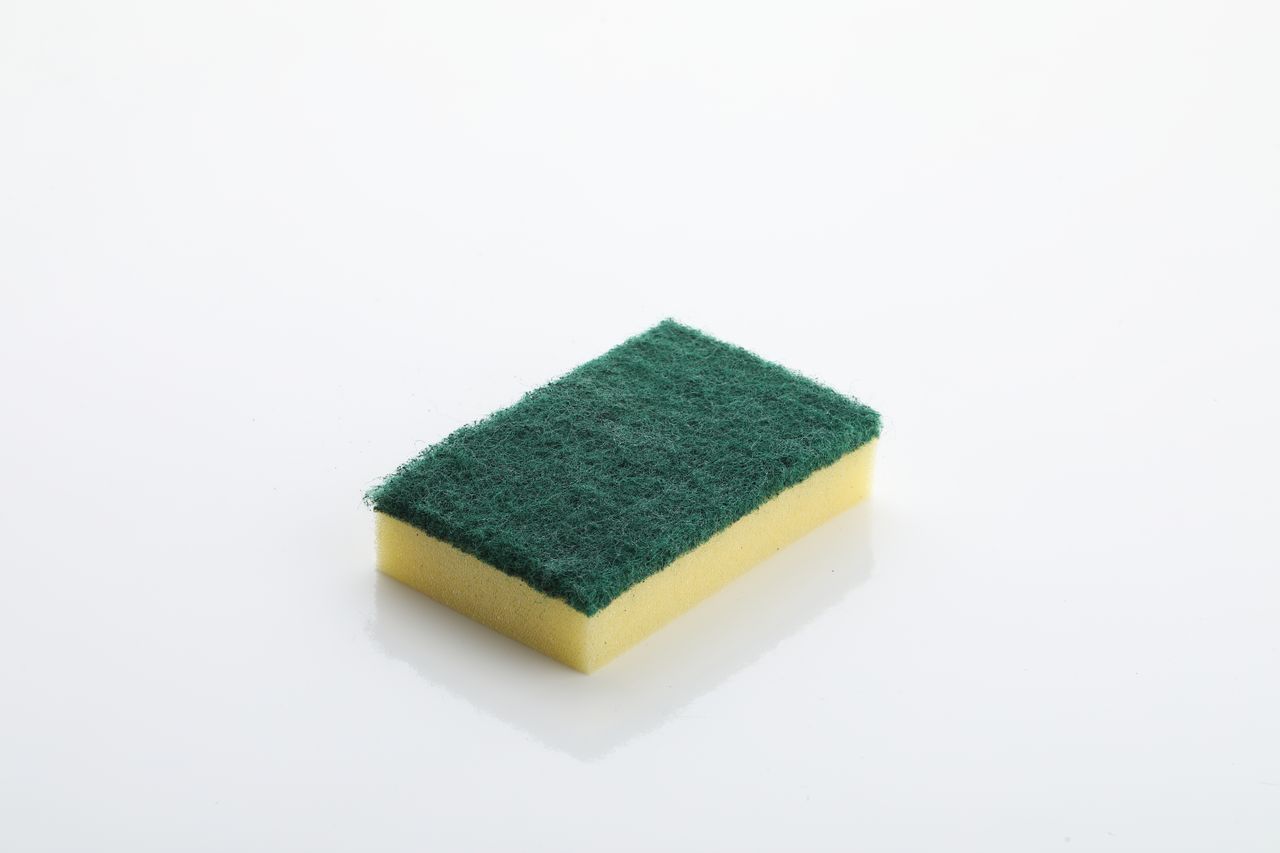 Proclean Scrub Sponge - Nylon | 1 Piece Packing