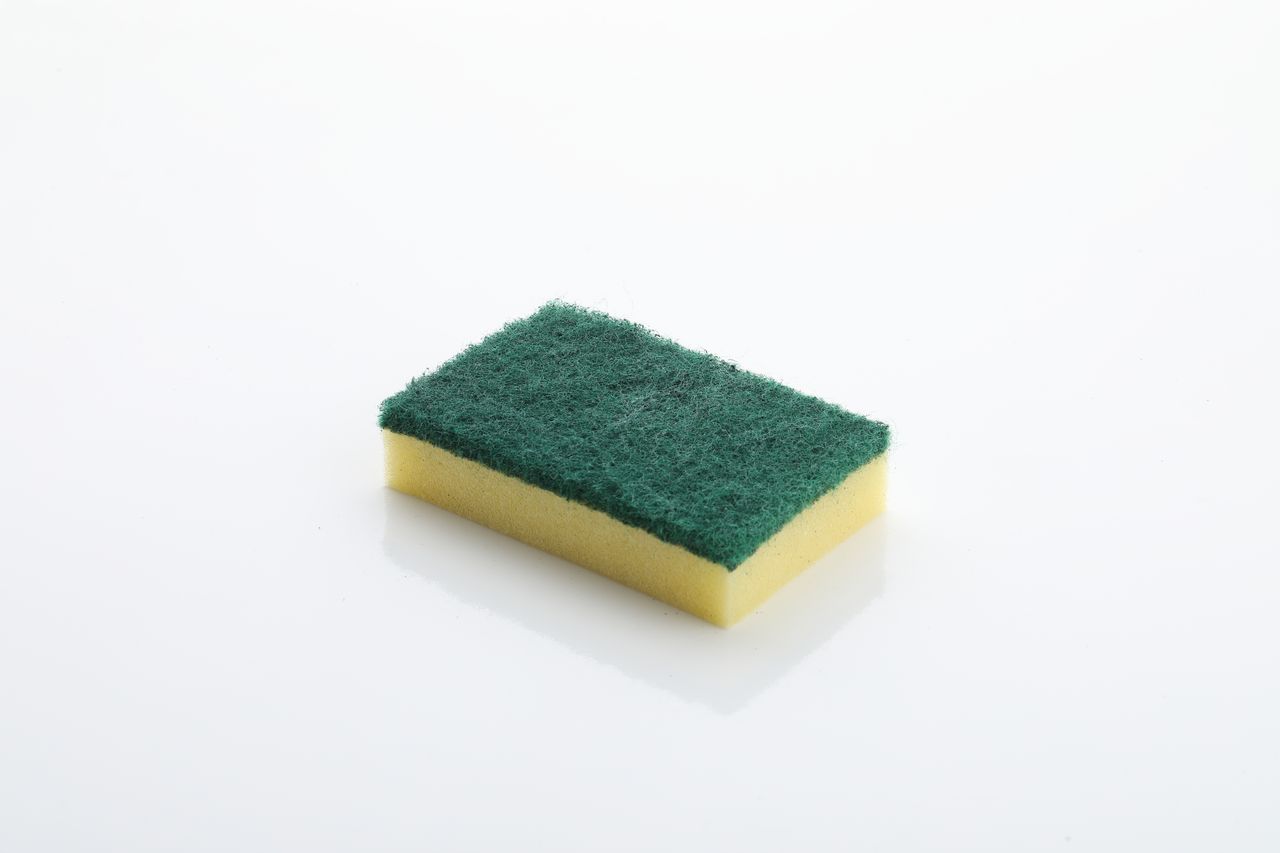 Proclean Scrub Sponge - Nylon | 1 Piece Packing