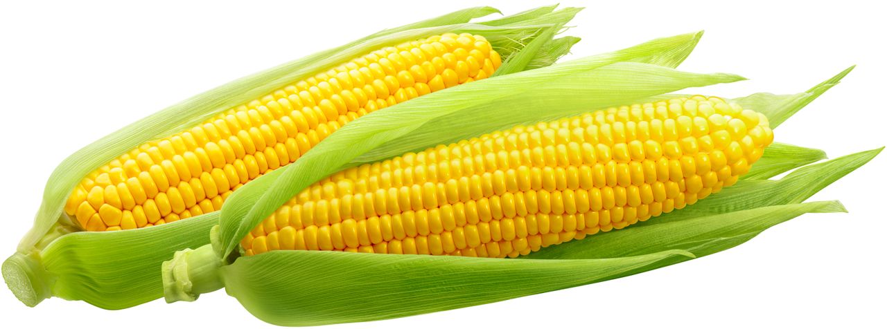 Sweet Corn