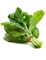 Hydroponic Spinach