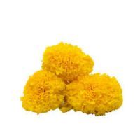 Marigold Yellow/Banthi Puvvu 250 g Combo