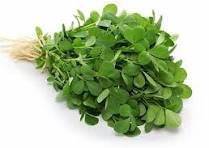 Fenugreek (Methi)