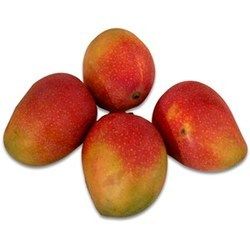 Mango Suvarnarekha