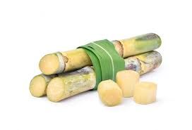Sugarcane (Ganna)