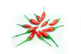 Thai Red Chilli