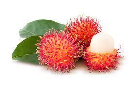 Rambutan