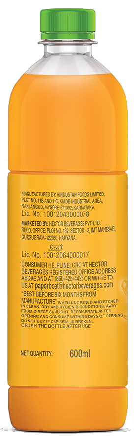 Paper Boat Swing Mango Juice 600 ml Combo