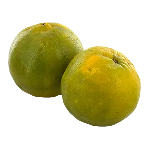 Deep Rooted Orange Nagpur