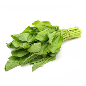 Palak Leaves Organically Grown