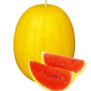 Watermelon Vishala