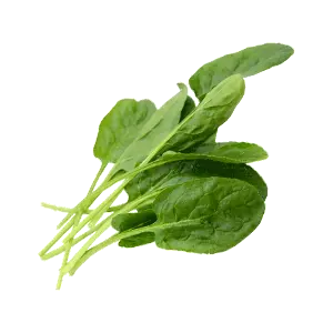 Organic Baby Spinach
