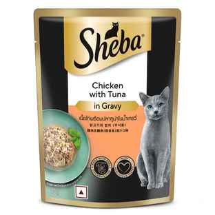Cat Food Online in Bengaluru - Buy Cat Food Near You at Best Price