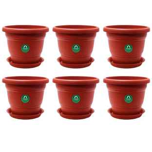 TrustBasket 8 Inch Pots with Saucer - Buy at ₹477 Online