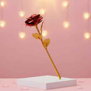Rose - Buy Rose Products Near You | Delivery in Mins | Zepto