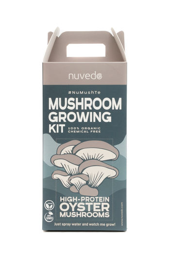Nuvedo High Protein Oyster Mushroom Growing Kit