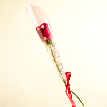 Red Rose
