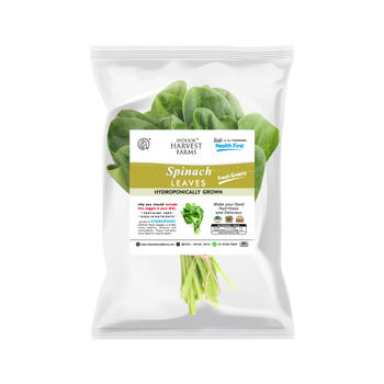 Hydroponic Spinach