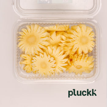 Pluckk Pineapple Sliced, 200 g