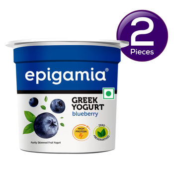 Epigamia Greek Yogurt Blueberry 85 g Combo