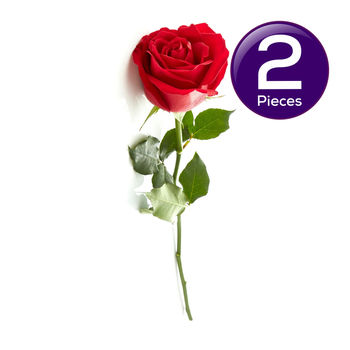 Red Rose 1 pc Combo