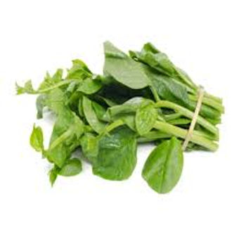 Malabar Spinach