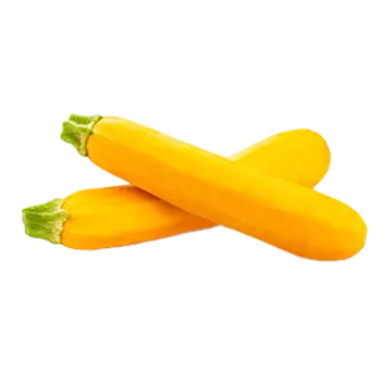 Deep Rooted Zucchini Yellow
