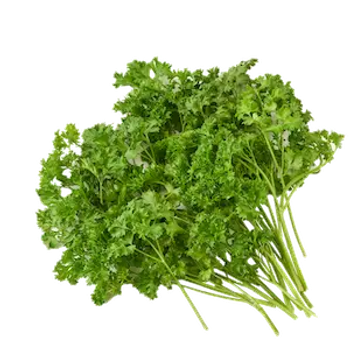 Deep Rooted Parsley - Greenhouse Grown