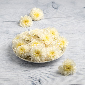 Chrysanthemum White 100 g Combo