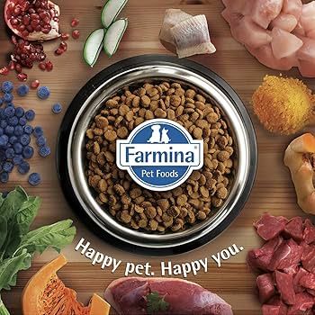 Farmina N&D Grain Free Pumpkin Chicken And Pomegranate Puppy Medium & Maxi