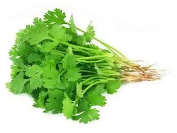 Residue Free Coriander