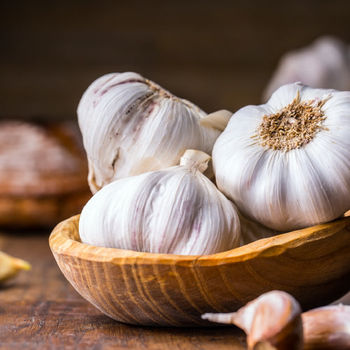 Gourmet Garden Organic Garlic