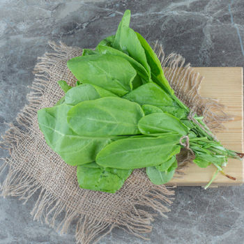 Gourmet Garden Organic Palak