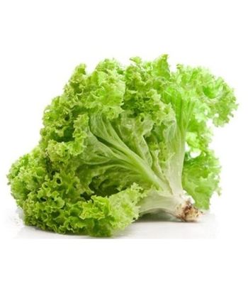 Residue Free Lettuce Green