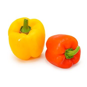 Gourmet Garden Hydroponic Capsicum Mixed