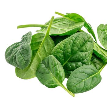 Hydroponic Baby Spinach