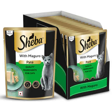 Cat Food Online in Bengaluru - Buy Cat Food Near You at Best Price