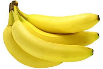 Deep Rooted Banana Robusta