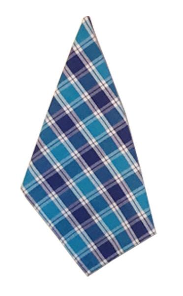 Lushomes Kitchen Apron Set - Blue and Green Checks