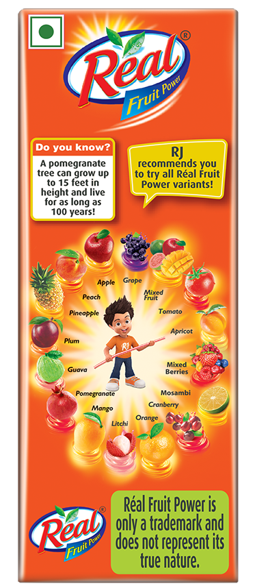 Real Fruit Power- Pomegranate Juice Tetrapack 180 ml Combo