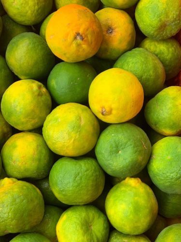Zama Organics Orange