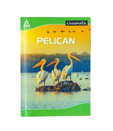 Classmate Longbook Single Line I Assorted 297X210 7
