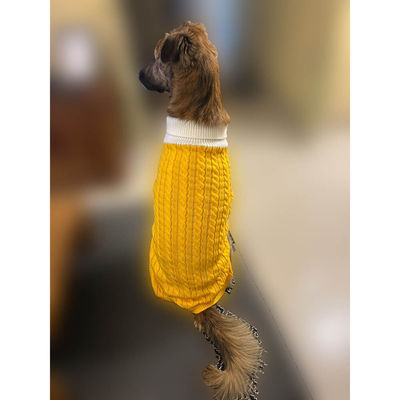 Bearhugs Yellow Highneck Sweater For Dogs 2Xl