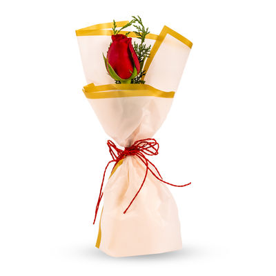 FNP Radiant Red Rose Bouquet