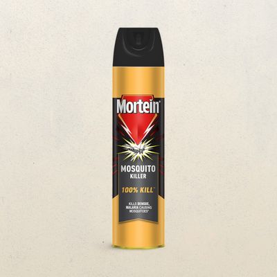 Mortein Fly & Mosquito Killer Spray