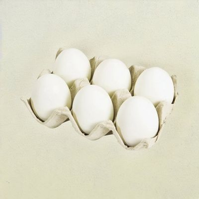 Vijay White Eggs