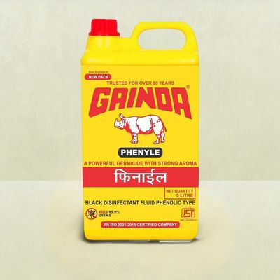 Gainda Black Disinfectant Phenyle