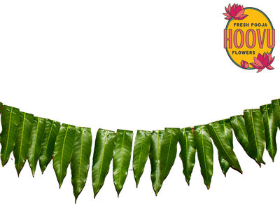 Hoovu Fresh Mango Leaf Thorana