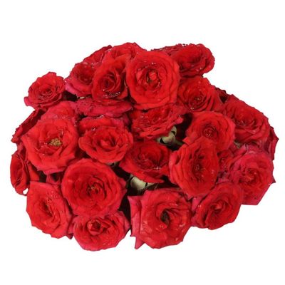 Assorted Roses