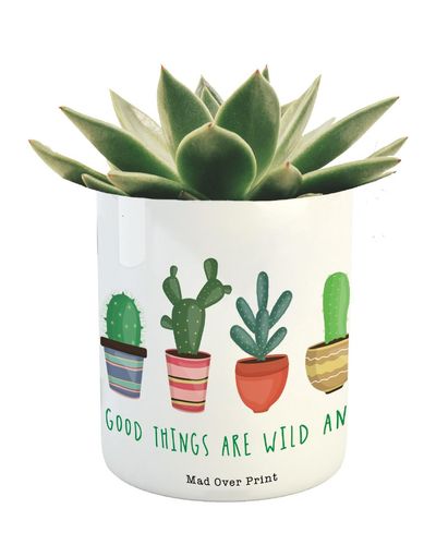 Mad Over Print Cactus Family Planter